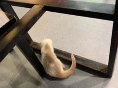 -顺丰面馆(打浦店)
