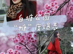 -白塘生态植物园