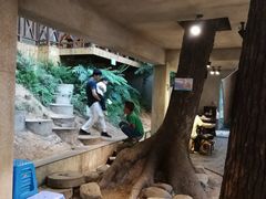 -天怡·鱼工厂(梅溪湖店)