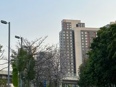 -怡海公园(桂城街道)