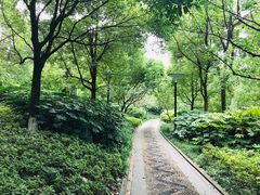 -重庆彩云湖湿地公园