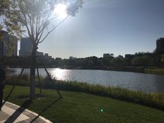 -西海子公园