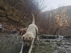 -孤山寨风景区