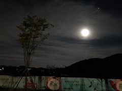 -美的鹭湖森林度假区