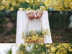 -厦门国家会计学院