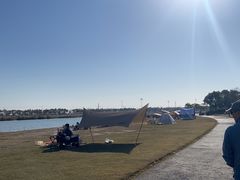 -春花秋色城市公园