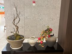 -沼津港精致料理·寿喜烧·烧鸟(龙湖南桥天街日料榜单店)