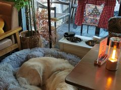 -咖法森林·咖啡  酒吧(天河店)