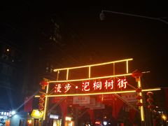 -泡桐树街