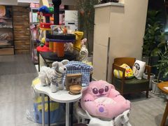 -爱派特动物医院·全科诊疗中心