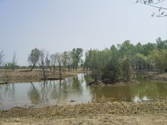 -野鸭湖国家湿地公园