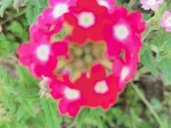 -长春公园(普阳街道)