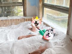 -咸宁万豪温泉谷度假区