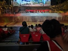 -三亚红色娘子军演艺公园景区