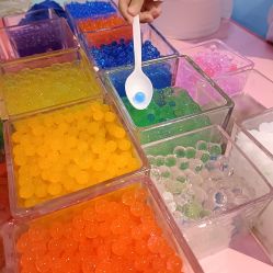 -卡通尼·Safari非洲探索乐园·生日会(金桥国际商业广场店)