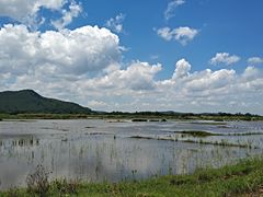 -沙美村