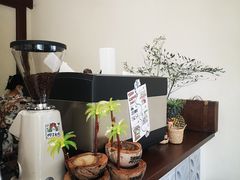 -椰椰大吉(海城店)