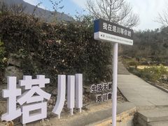 -塔川景区