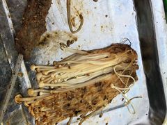 -玉园烧烤·海鲜辣炒