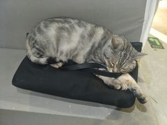 -小时光咖啡馆(开森度假森林店)