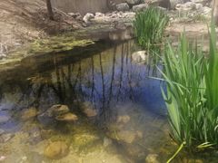 -白水寺森林公园