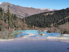 -黄龙山原始森林景区