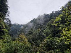 -碧峰峡风景区