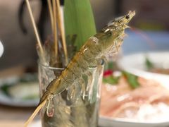 活虾-围炉夜话·潮汕卤水火锅(榕江店)