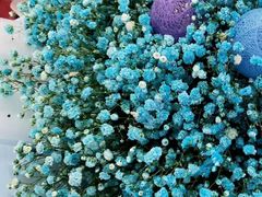 -德克士(亚中商城店)