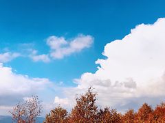 -白草畔自然风景区