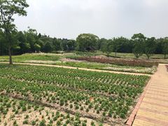-同里国家湿地公园