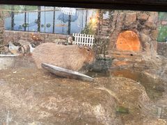 -海合安成都极地海洋公园