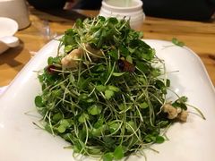 -老阿妈蒙古村·蒙古包·草原文化·歌舞表演(老君堂店)