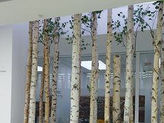 -极简口腔(总院)
