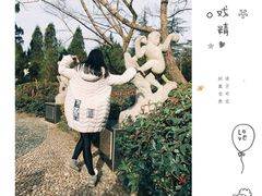 -金孔雀温泉旅游度假村