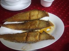 -蛇口康乐快餐鱼仔档(翠苑小区店)