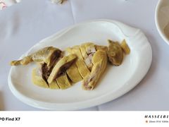 -骏莱海鲜鱼港(五角场店)