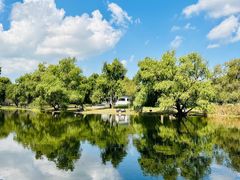 -上海共青森林公园