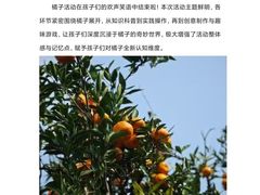 -艺年级儿童语言艺术中心(冉家坝爱融荟城店)