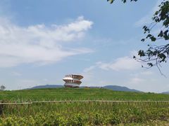 -光明小镇欢乐田园