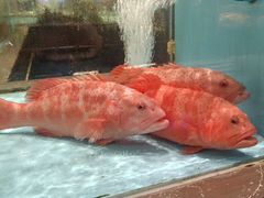 -阿伟海鲜楼·福建菜(延寿店)