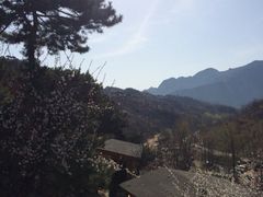 iphone_upload_pic-北京水岸山吧度假村(雁栖镇店)