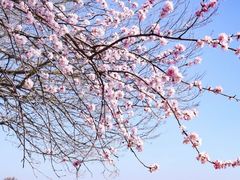 -颐和园