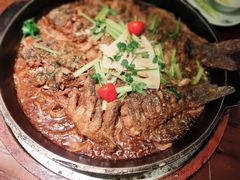 -老板恋上鱼(荣盛广场店)