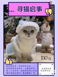 -DC大蔡婚礼策划(李公堤店)