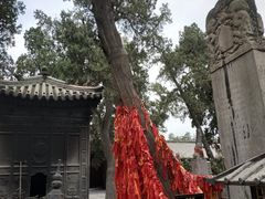 -关林