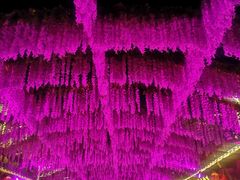 -婺源梦里老家大型山水实景演出