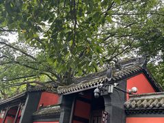 -成都武侯祠博物馆