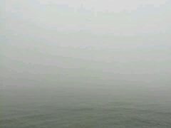 -野狸岛