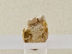 -重庆中国三峡博物馆(重庆博物馆)